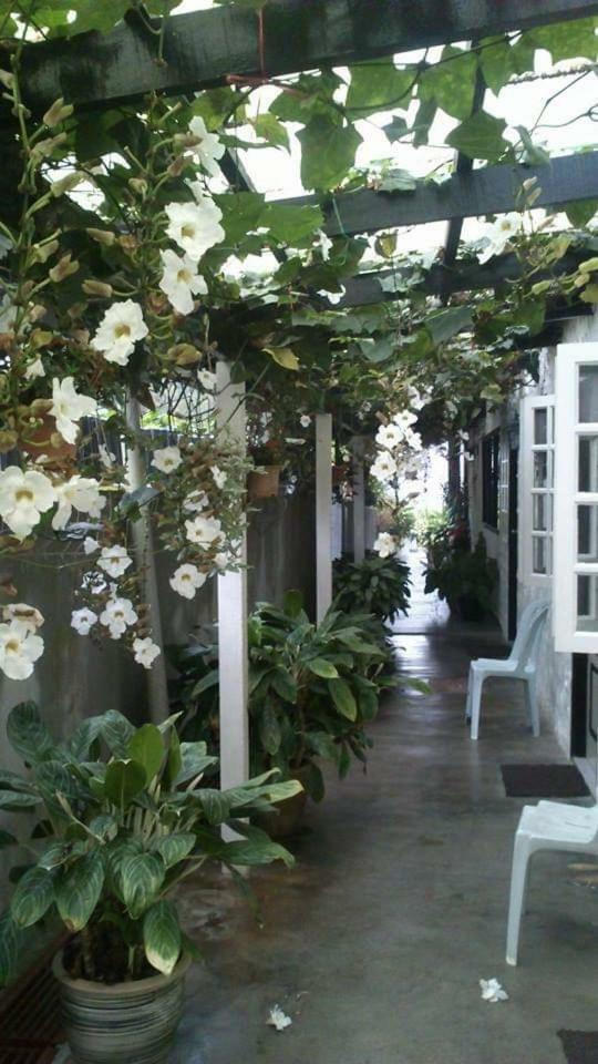 Hillview Inn Cao nguyên Cameron Ngoại thất bức ảnh
