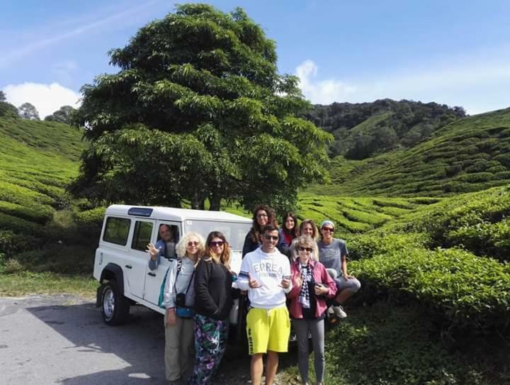 Hillview Inn Cao nguyên Cameron Ngoại thất bức ảnh
