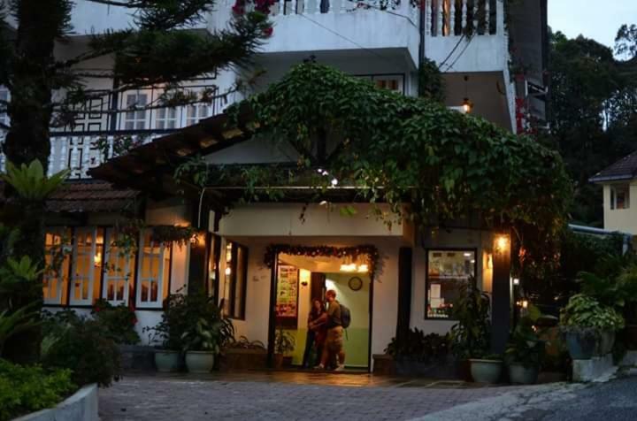 Hillview Inn Cao nguyên Cameron Ngoại thất bức ảnh