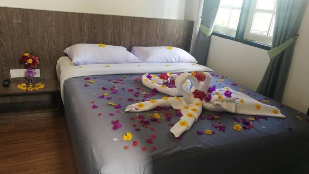 Hillview Inn Cao nguyên Cameron Ngoại thất bức ảnh