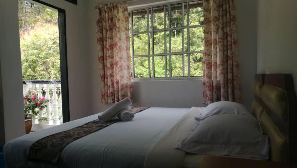 Hillview Inn Cao nguyên Cameron Ngoại thất bức ảnh